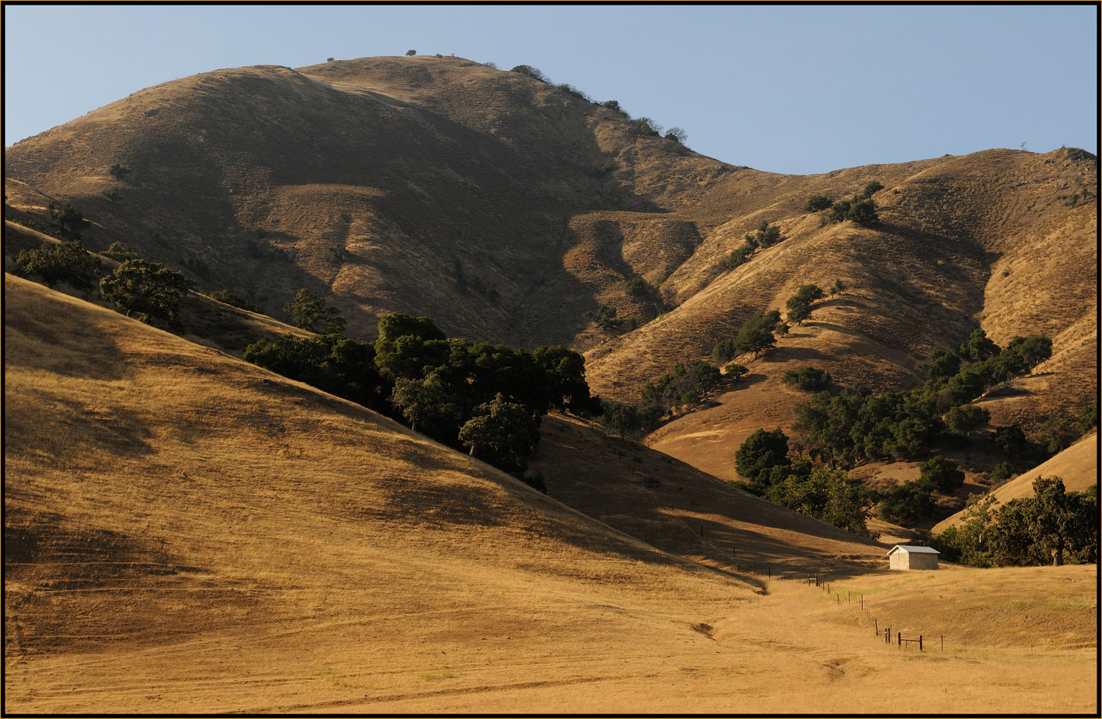 Hollister Hills