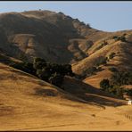 Hollister Hills