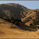 Hollister Hills