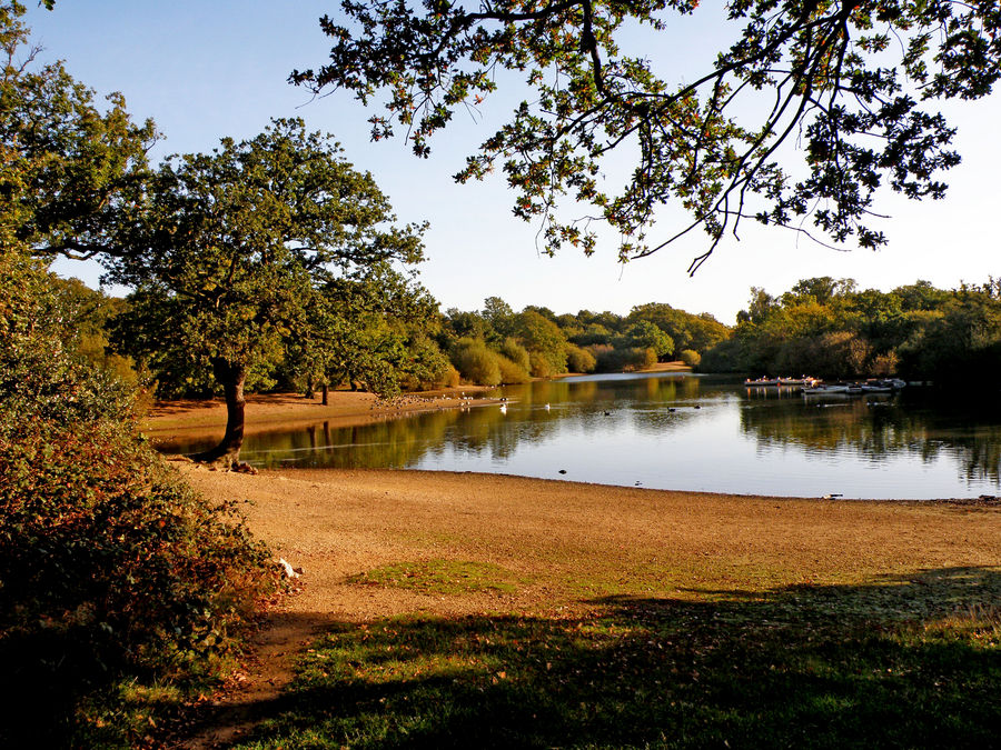 Hollow lake photography