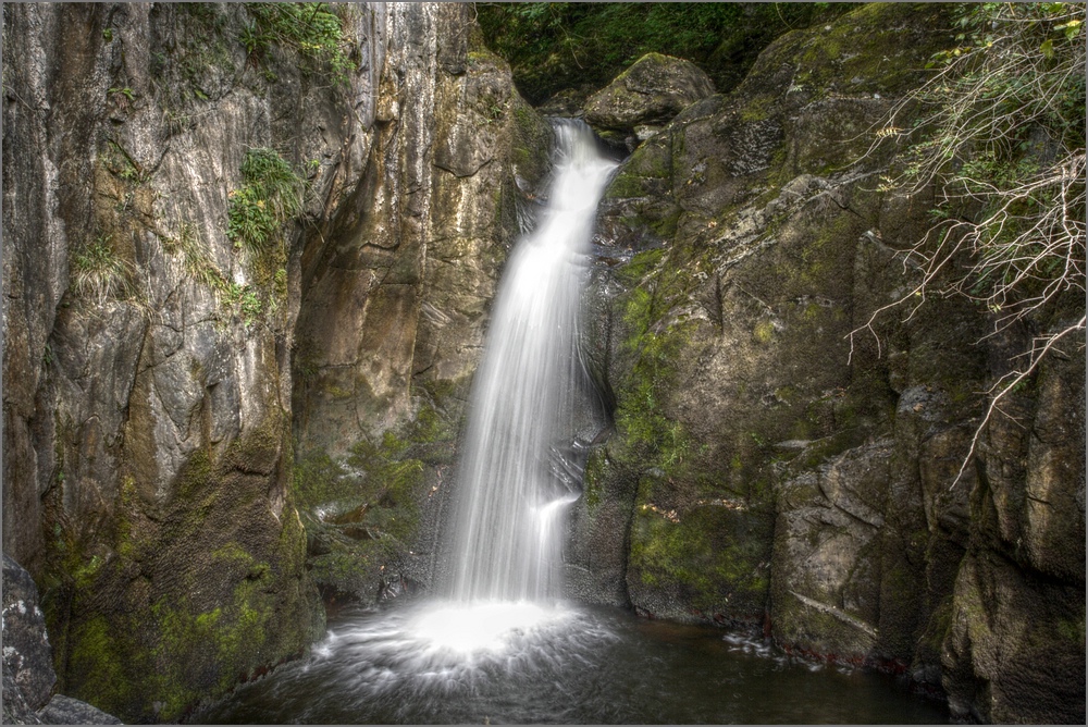 Hollybush Spout...