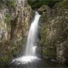 Hollybush Spout...