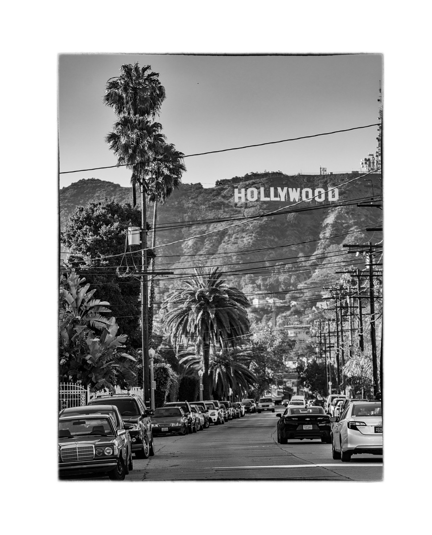 hollywood 