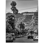 hollywood 