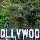 HOLLYWOOD in der Provinz