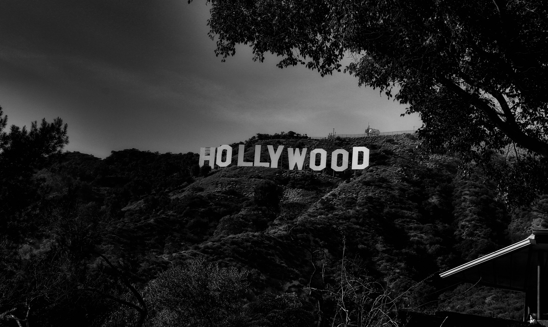 Hollywood Sign BW