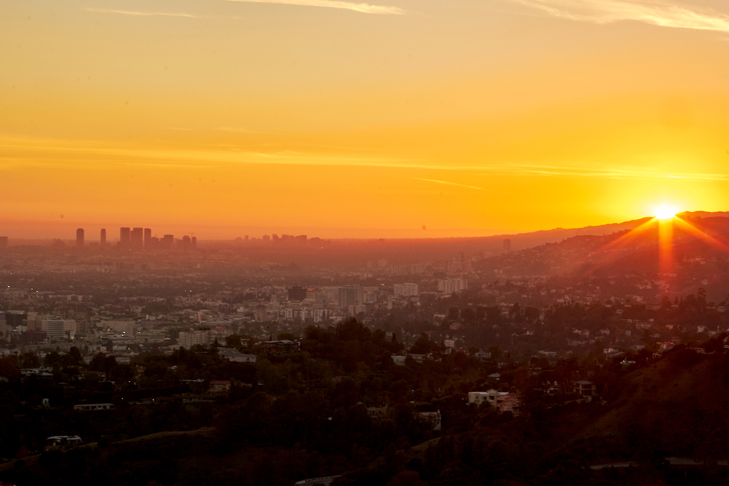 Hollywood Sunset