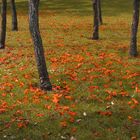 Holmby Rust Leaves or 3 Men On Stilts