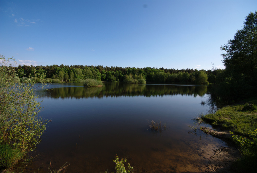 Holmer Sandberge