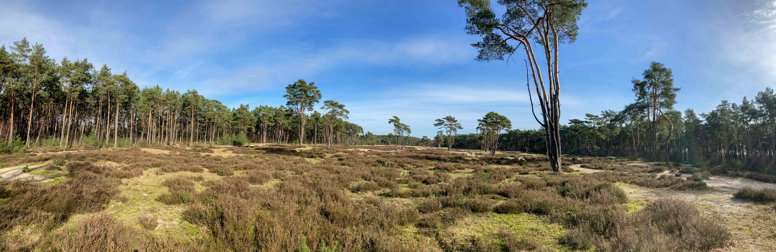 Holmer Sandberge (Ausschnitt)