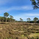 Holmer Sandberge (Ausschnitt)