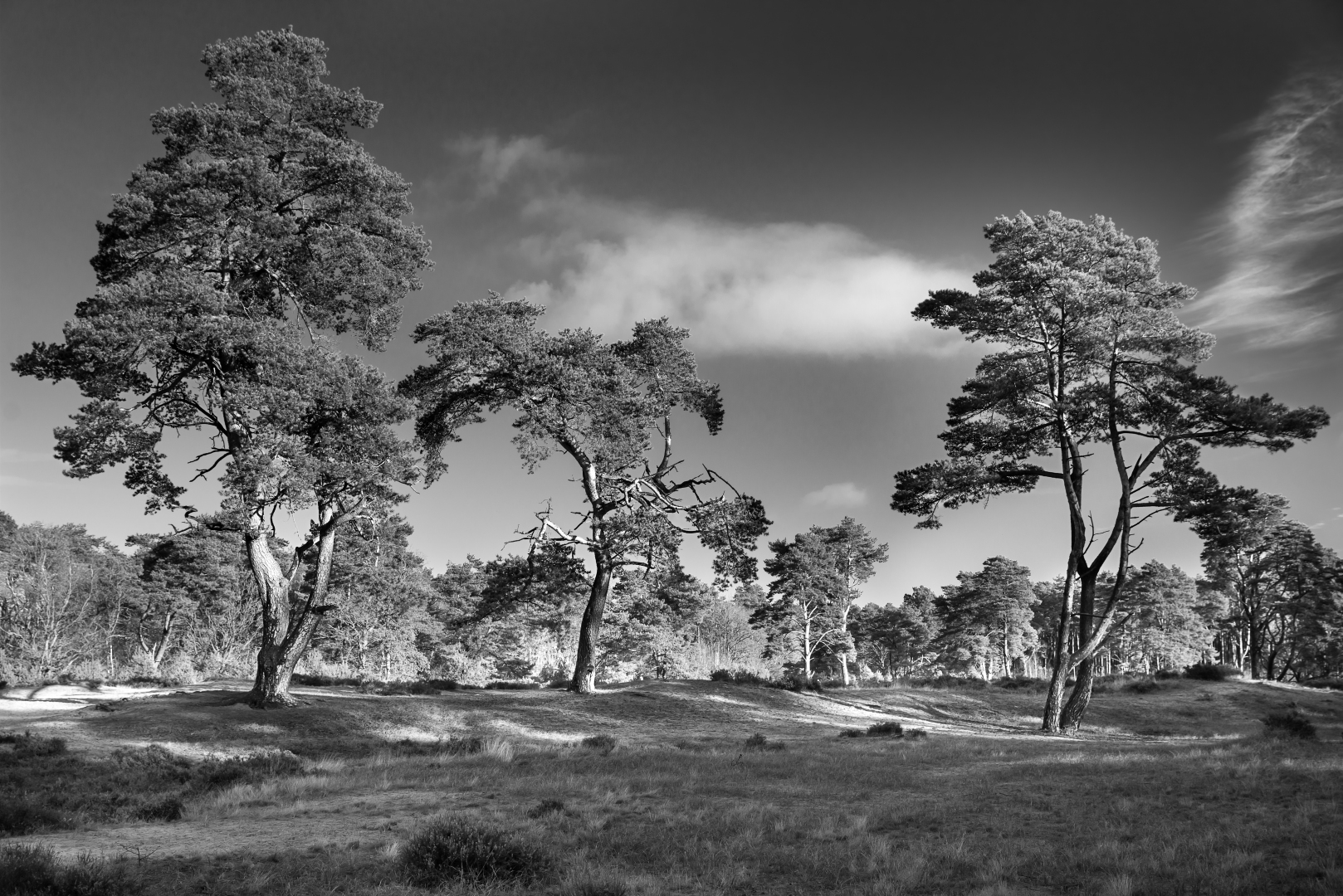  Holmer Sandberge B&W I