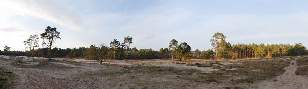 Holmer Sandberge