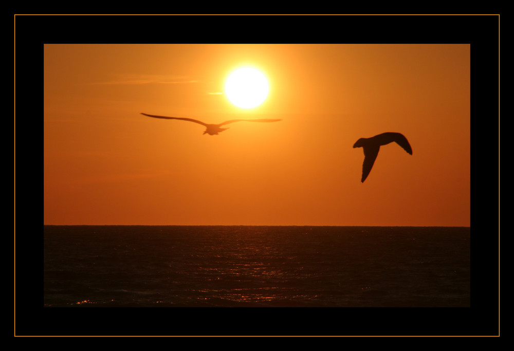 Holmes Beach - Bradenton Florida