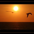 Holmes Beach - Bradenton Florida