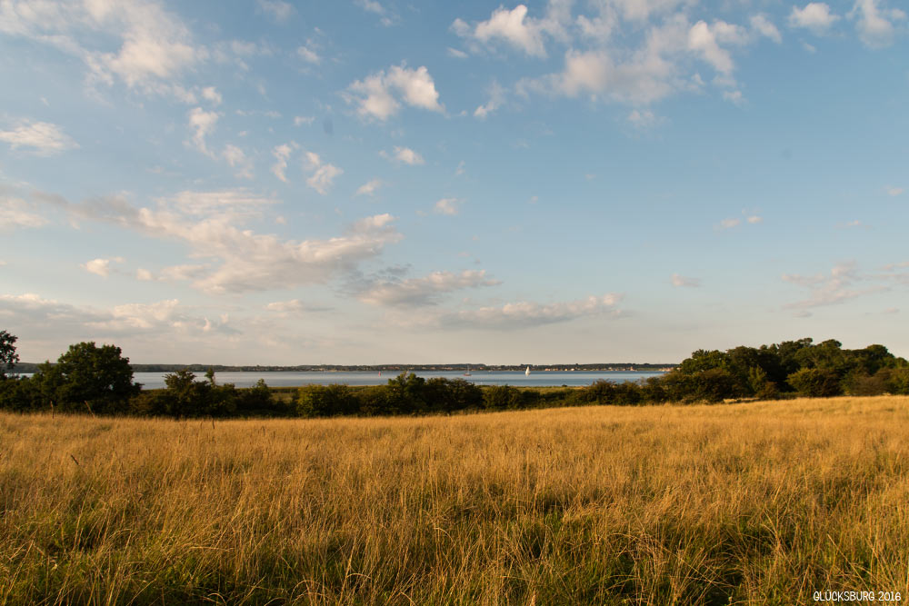 Holnis Fördeblick