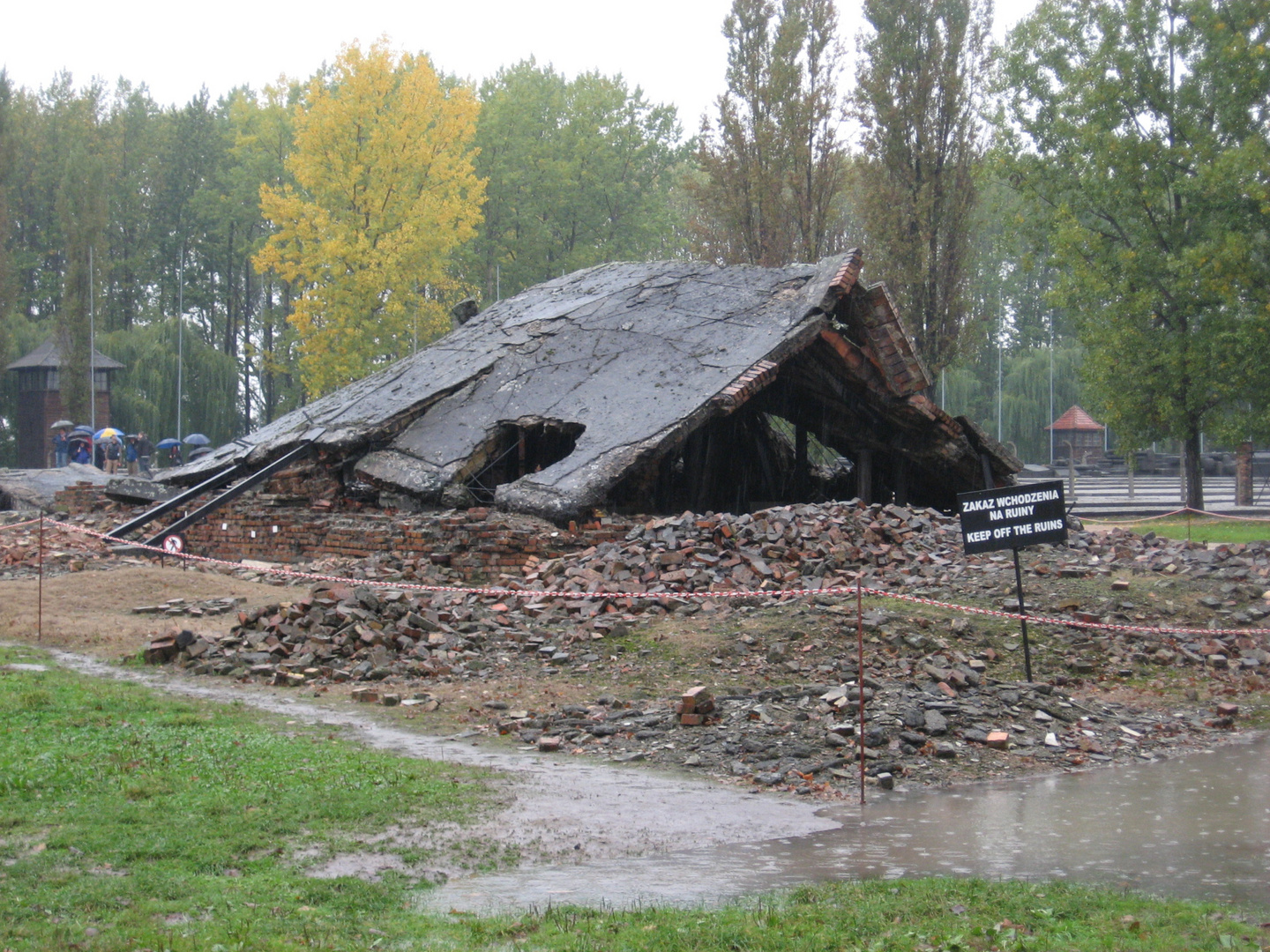 Holocaust Gedenktag (4)