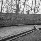 Holocaustgedenktag (3)