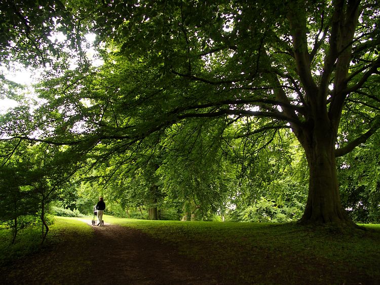 Holsteinborg Slotspark