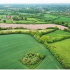 Holsteiner Knicklandschaft