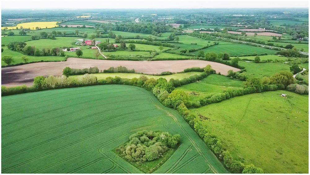 Holsteiner Knicklandschaft