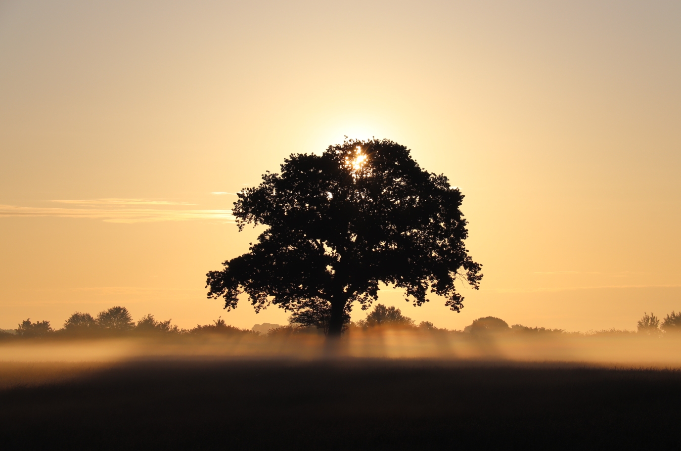 Holsteiner Morgenstimmung.