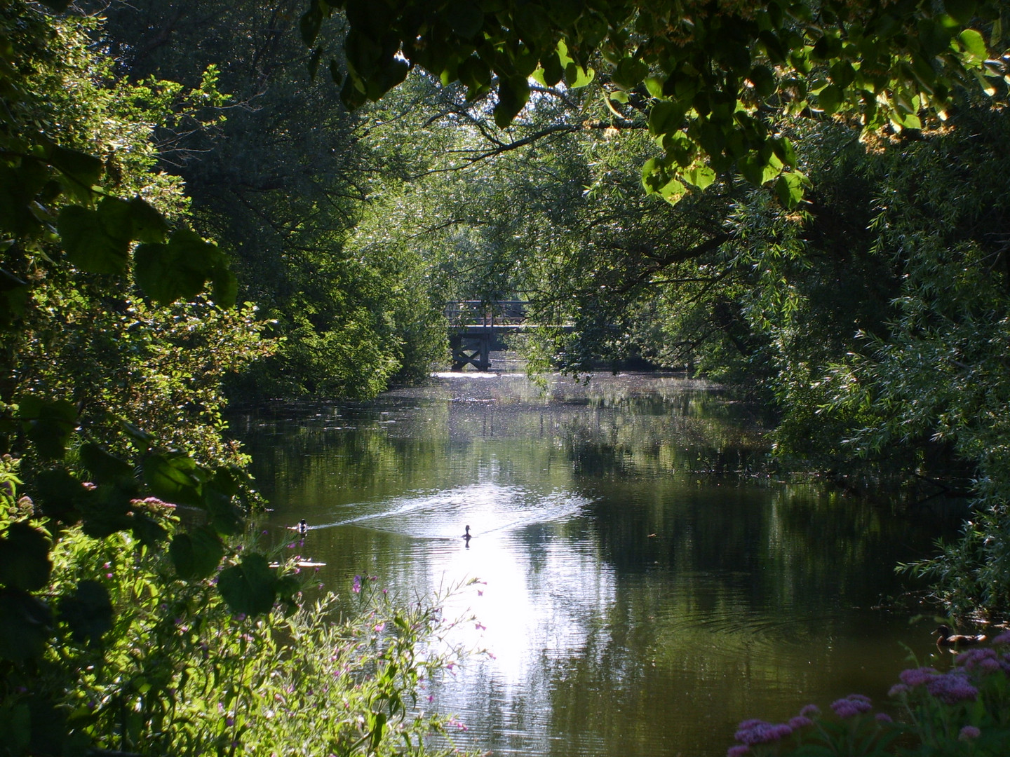 Holsteinische Schweiz Foto & Bild landschaft, bach, fluss & see