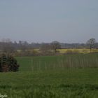 Holsteinische Schweiz - Meine Heimat