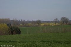 Holsteinische Schweiz - Meine Heimat