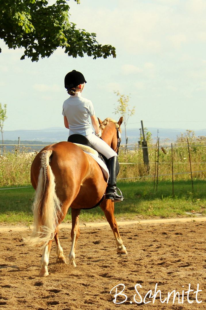 Holsteins Delikat und Hanna 01.09.12 #1