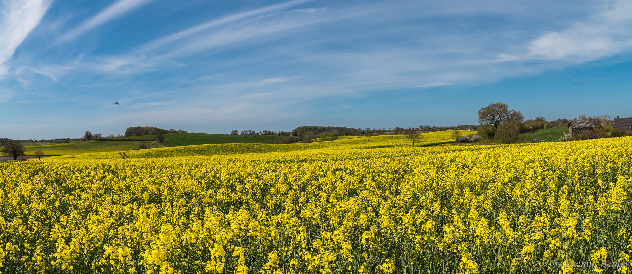 Holsteinsche Schweiz