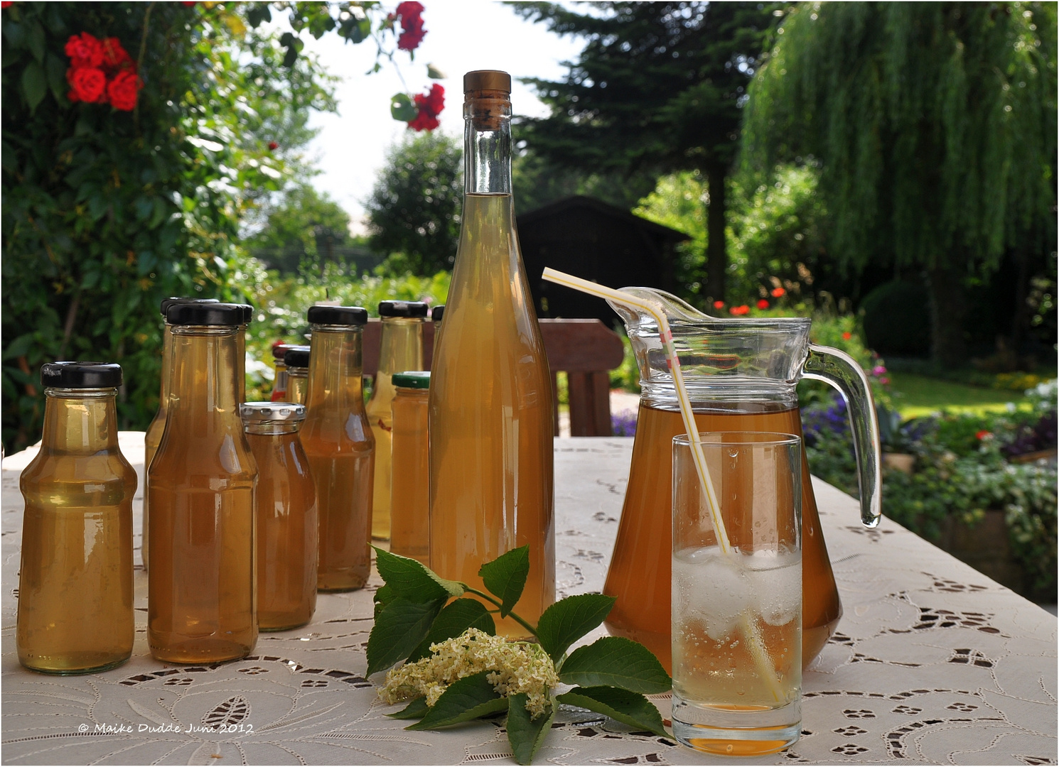 Holunderblütensaft Foto &amp; Bild | stillleben, food-fotografie, getränke ...