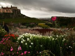 Holy Island