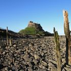 Holy Island