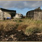 Holy island detail 7