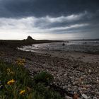 Holy Island