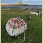 Holy Island harbour 3