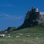 Holy Island, Northumberland