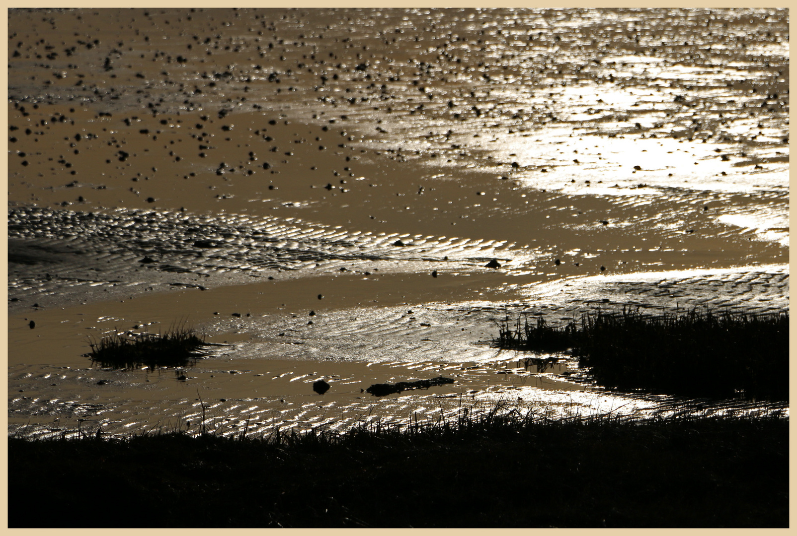 holy island sands 5