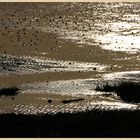 holy island sands 5