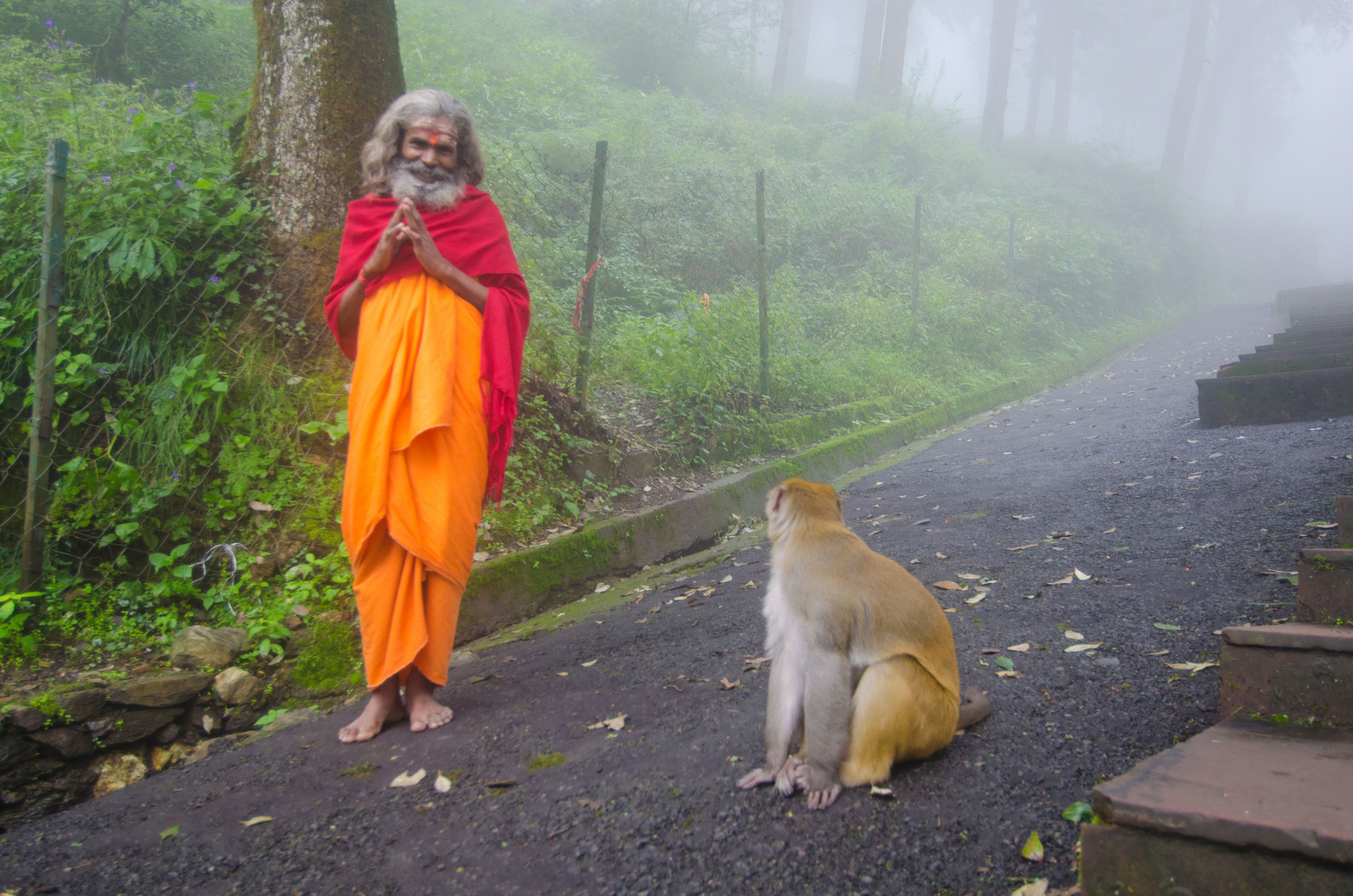 Holy Man with monkey