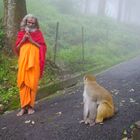 Holy Man with monkey