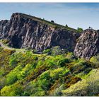 Holyrood Park