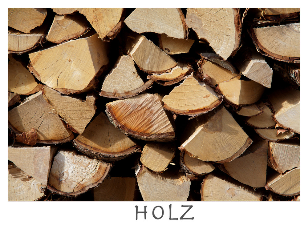 Holz