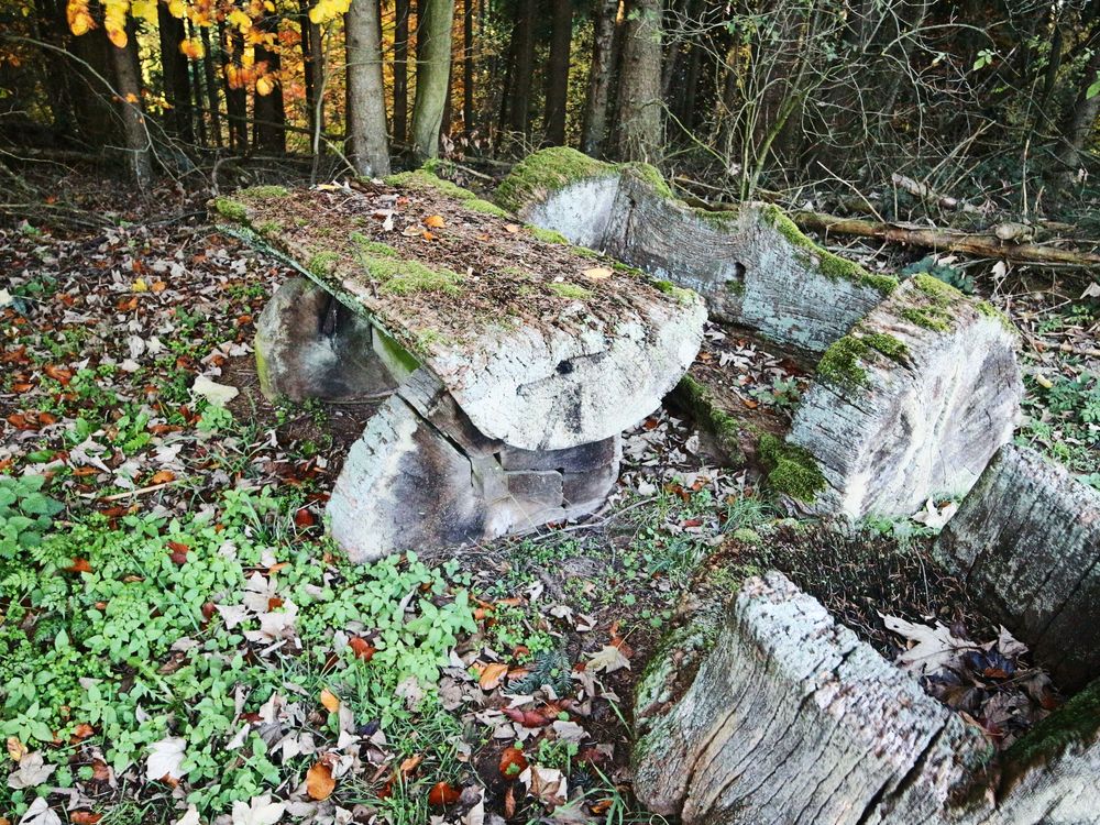 Holz als Bank