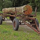 Holz auf Abruf