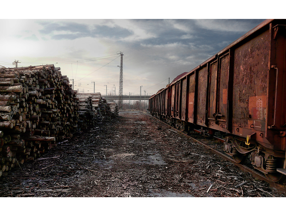 Holz auf Reisen