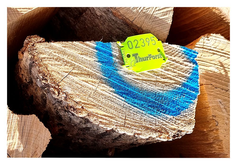 Holz aus dem Ittinger Wald