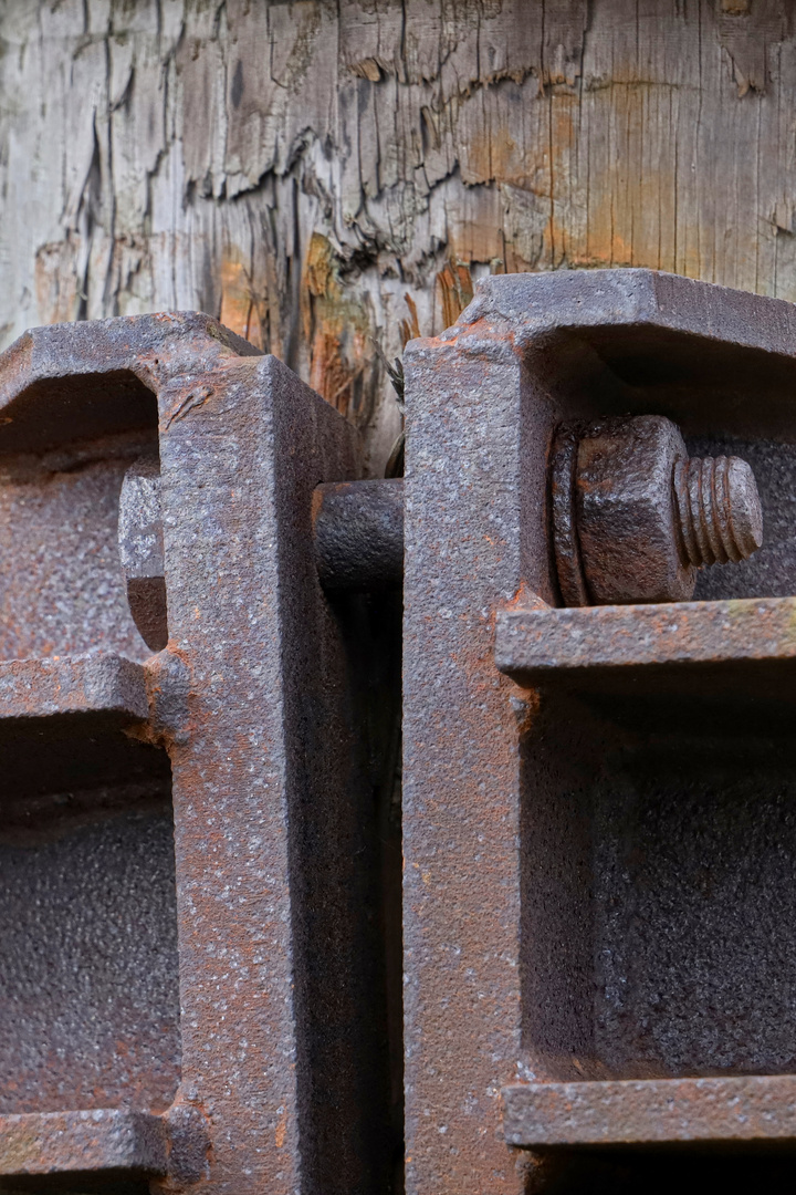 Holz-Dalben-Halterung Hafen Hamburg