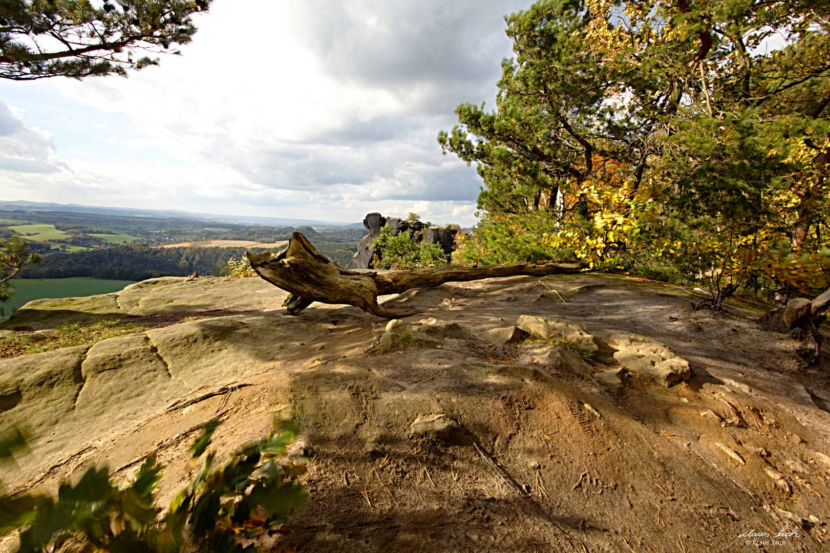 Holz-Drache auf dem Lilienstein